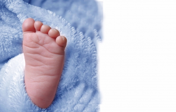 Creation of Are you my Mommie?: Step 4